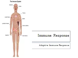 Immune Response Adaptive