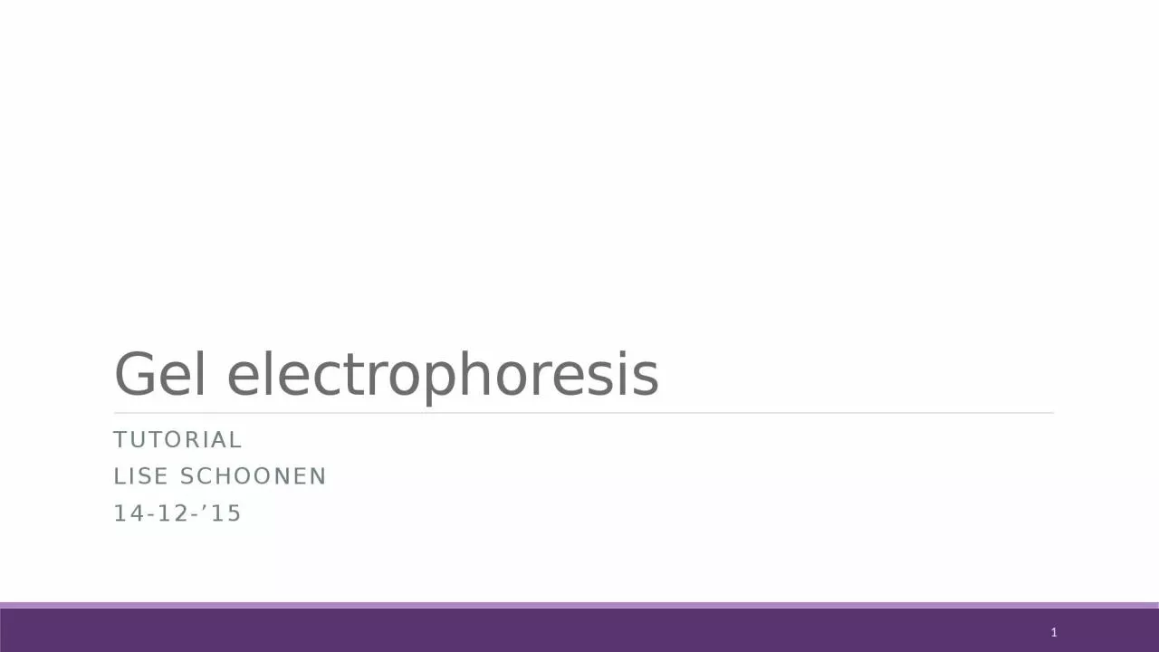 Gel electrophoresis Tutorial