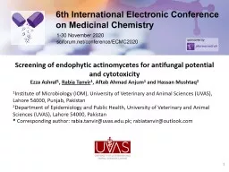 Screening of endophytic actinomycetes for antifungal potential and cytotoxicity