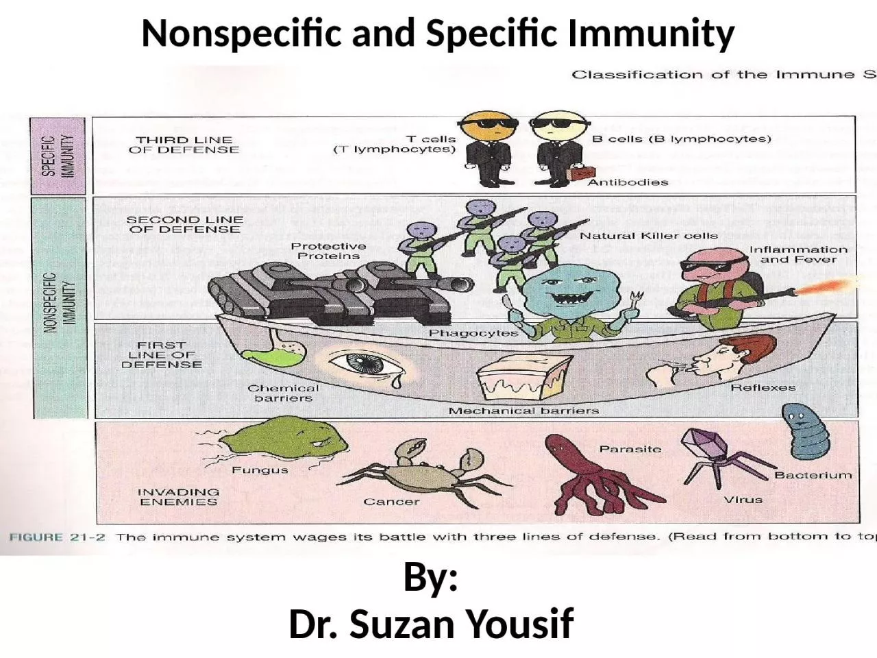 By: Dr. Suzan  Yousif Nonspecific and Specific Immunity