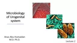 Microbiology of Urogenital system