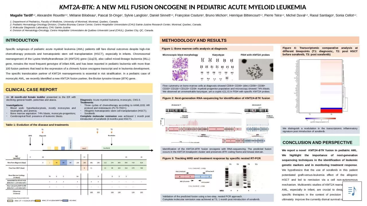 PPT-MRD +