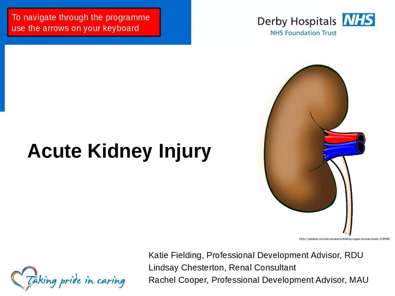 PPT-Acute Kidney Injury Katie Fielding, Professional Development Advisor, RDU