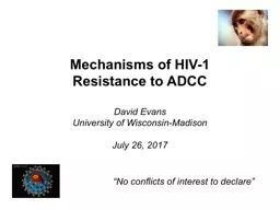 Mechanisms of HIV-1  Resistance to ADCC