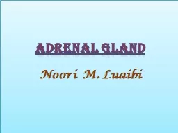Adrenal  gland Noori    M.