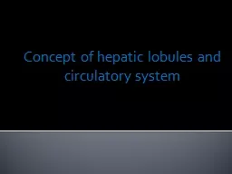 Concept of hepatic lobules and circulatory system