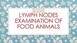 Lymph nodes examination of food animals