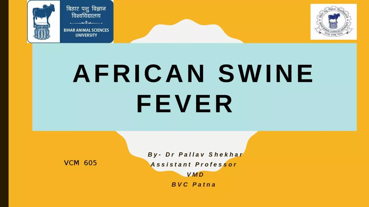 AFRICAN Swine Fever   By- Dr