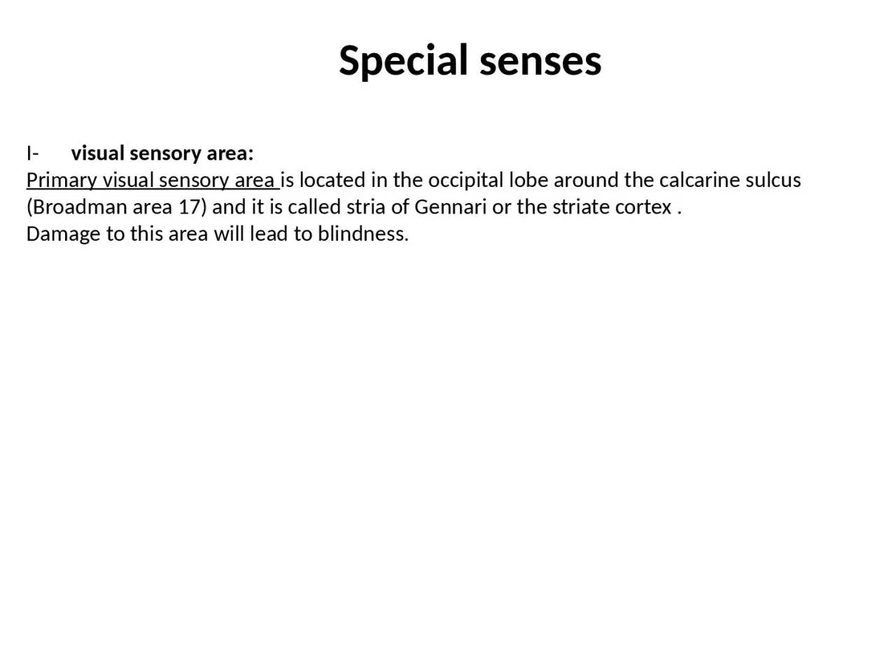 Special senses I-	 visual sensory area: