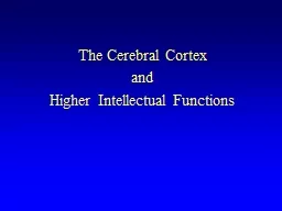 The Cerebral Cortex and Higher Intellectual Functions