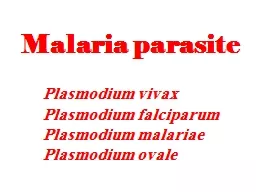 Malaria parasite Plasmodium