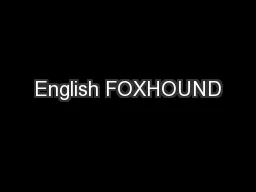 English FOXHOUND