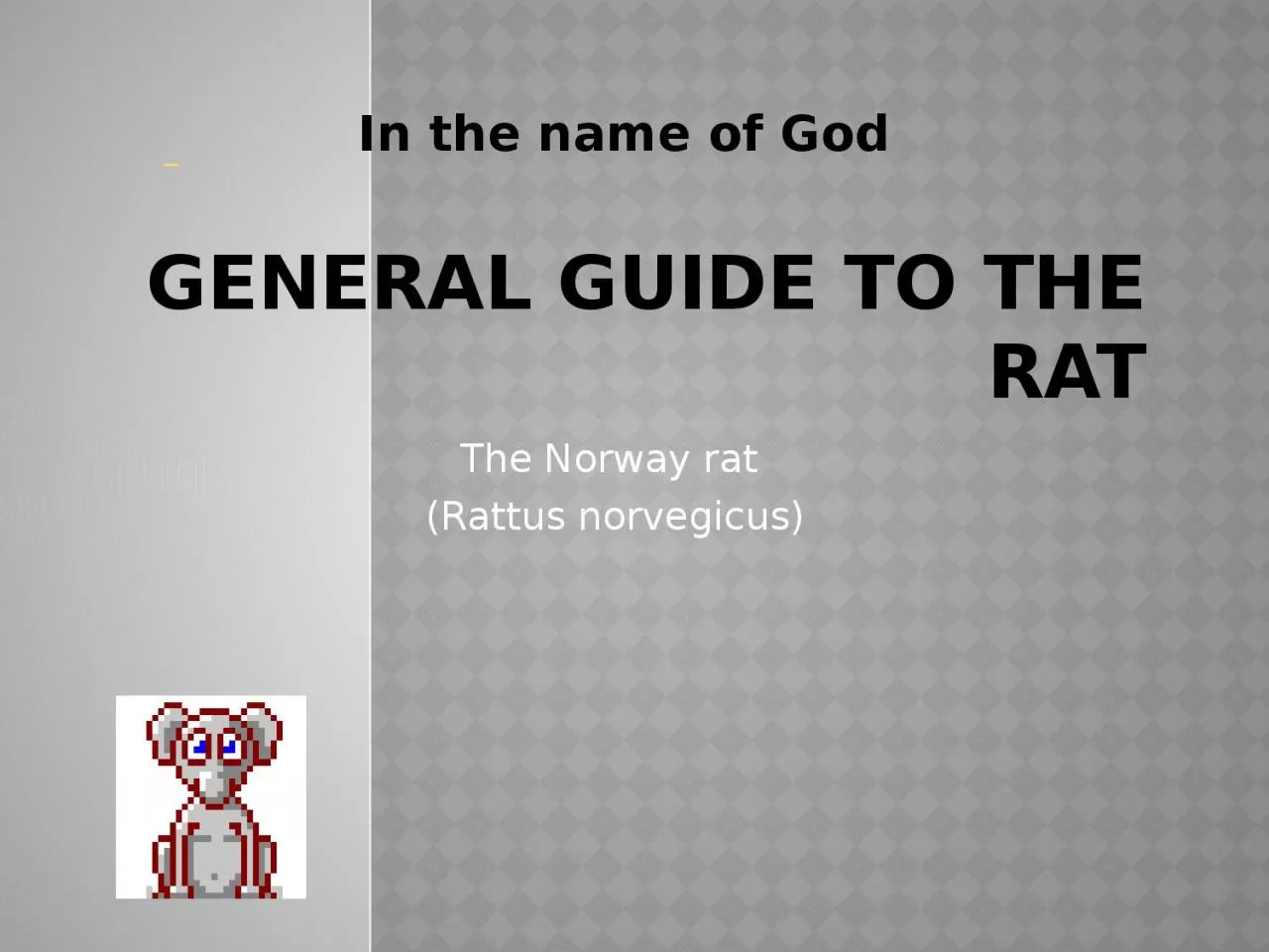 General Guide  to the Rat