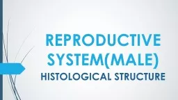 REPRODUCTIVE  SYSTEM(MALE)