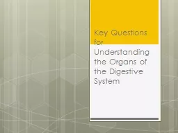 Key Questions for Understanding the Organs of the Digestive System