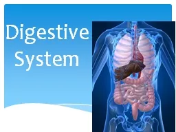 Digestive System The digestive