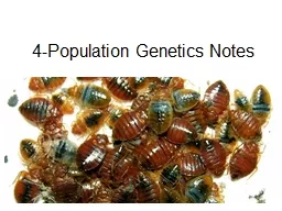 4-Population  Genetics Notes