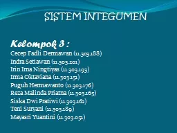 SISTEM INTEGUMEN Kelompok