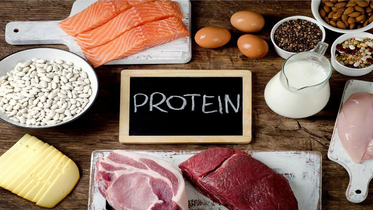 PArt 1: Amino Acids and Proteins