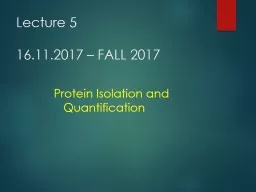 PPT-Lecture 7 07 .12.2017 – FALL 2017