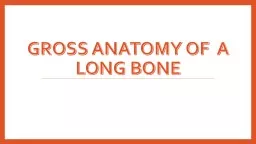 Gross anatomy of  a long bone
