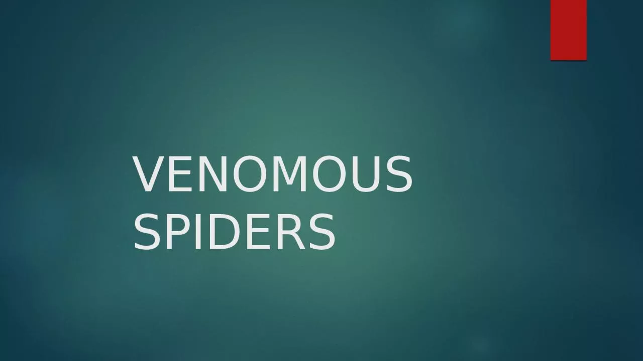 VENOMOUS SPIDERS Brown Recluse Spider