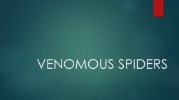 VENOMOUS SPIDERS Brown Recluse Spider