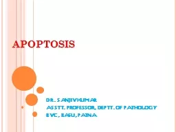 APOPTOSIS DR. SANJIV KUMAR