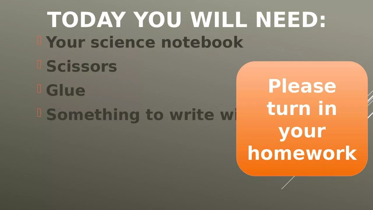 Today you will need: Your science notebook