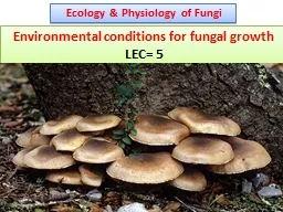 Ecology & Physiology of Fungi