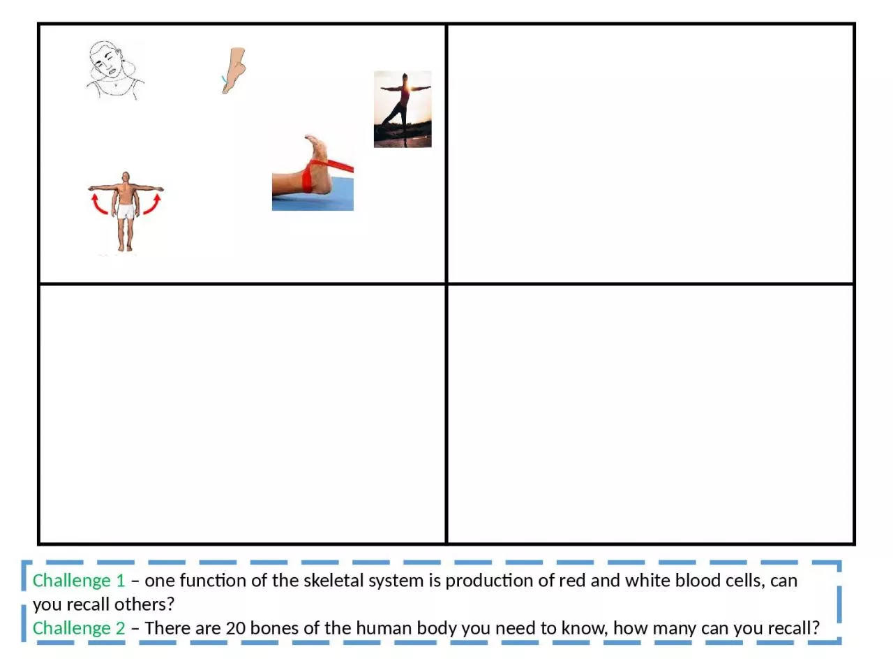 PPT-1. Tendons connect__________ to______________