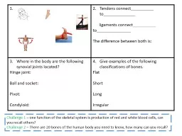 1.  Tendons connect__________ to______________