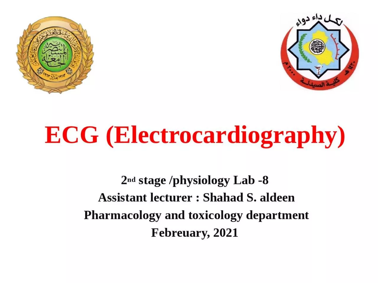 PPT-ECG (Electrocardiography)