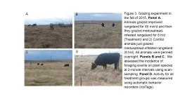 A B C D Figure  3.  Grazing experiment in the fall of 2015.