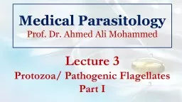 Lecture 3 Protozoa/ Pathogenic Flagellates