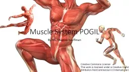 By Ms.  Maerna Kauffman Muscle System POGIL