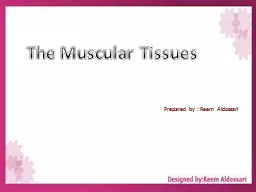 The Muscular Tissues  Prepared by : Reem Aldossari