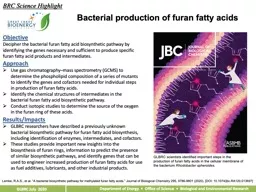 Bacterial production of furan fatty acids