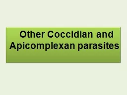 Other Coccidian and  Apicomplexan