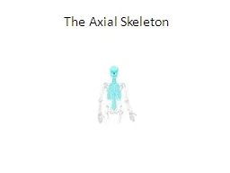 The Axial Skeleton The Skull