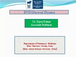 BVD/Mucosal Disease Dr.