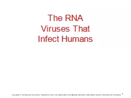 The RNA Viruses That Infect Humans