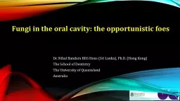 Fungi in the oral cavity: the opportunistic foes