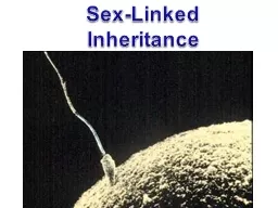 Sex-Linked Inheritance Sex Determination