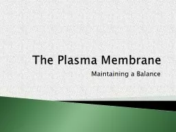 The  Plasma Membrane Maintaining a Balance
