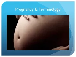 Pregnancy & Terminology