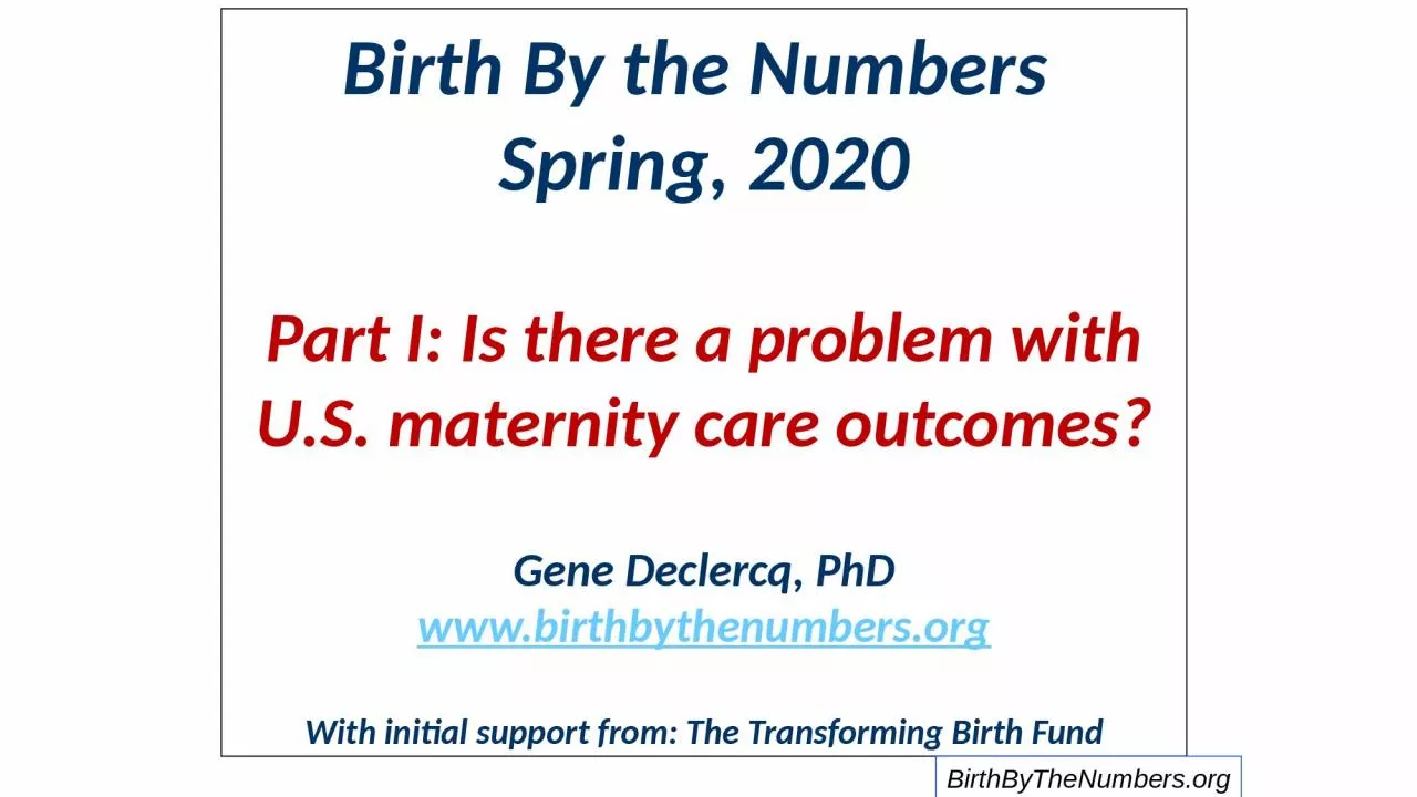 PPT-Birth By the Numbers Spring, 2020