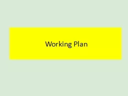 Working Plan Working Plan