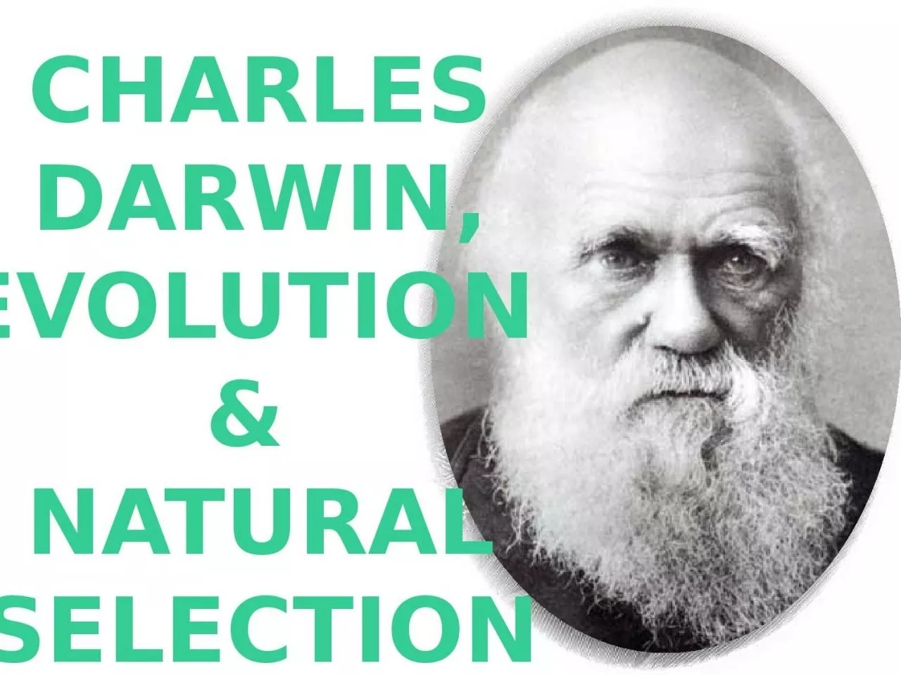 Charles Darwin, Evolution