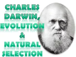 Charles Darwin, Evolution